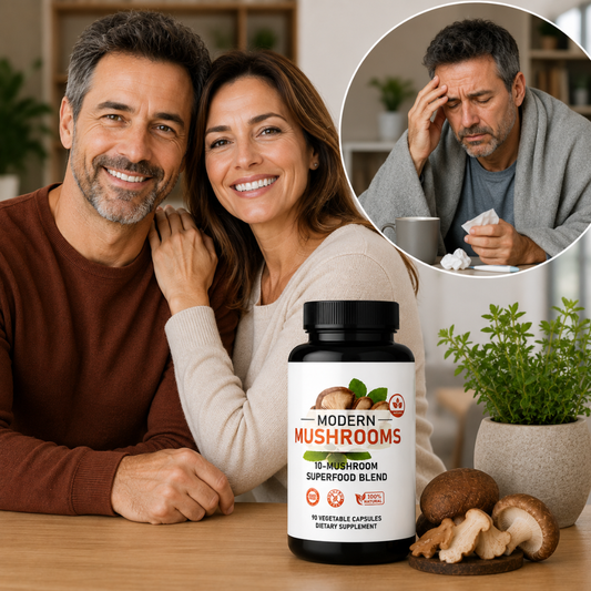 Modern Mushrooms | Daily Wellness for Energy, Focus & Immunity