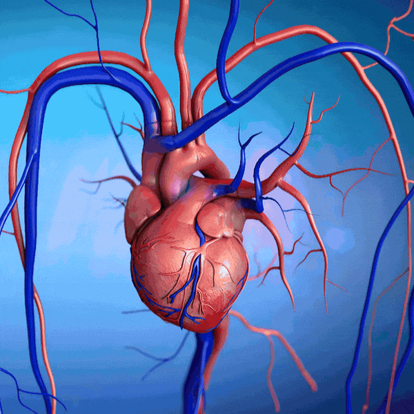 CoQ10 100 MG Fast-Acting Softgels  Give Your Heart the Daily Support It Deserves