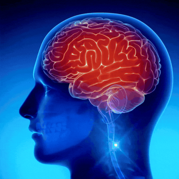 Docteat Ginkgo Biloba Softgels  Beat Brain Fog & Stay Sharp All Day